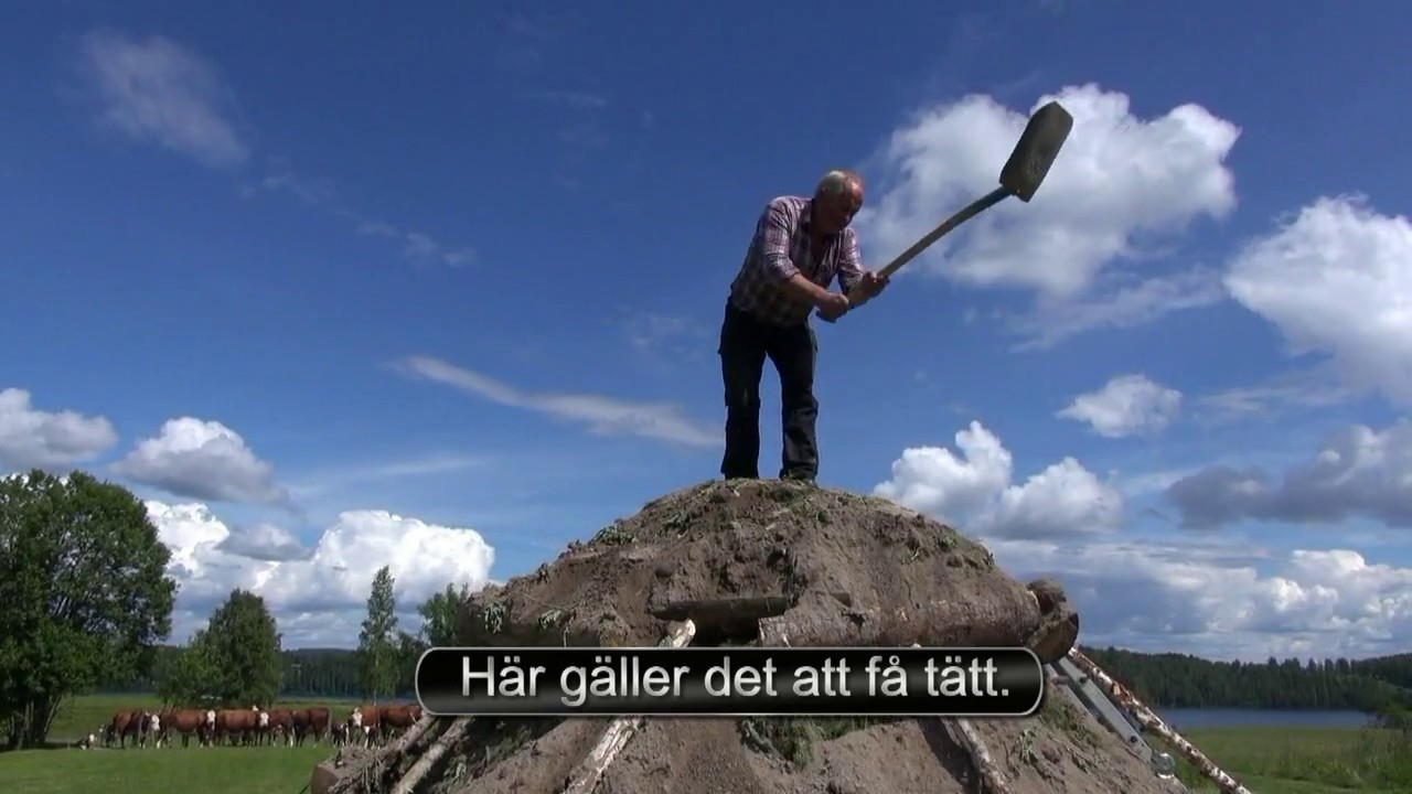 Kolmilan vid Lunget, Västerrottna. Gräsmark