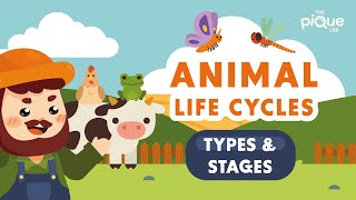 Animal Life Cycle Types and Stages | Primary School Science Animation screenshot 4