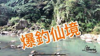 Creek fishing in Taiwan 石碇溪釣半日遊 