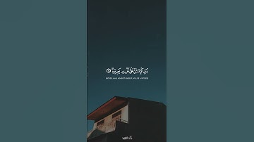 بل الإنسان على نفسه بصيرة | سورة القيامة | المنشاوي #quran