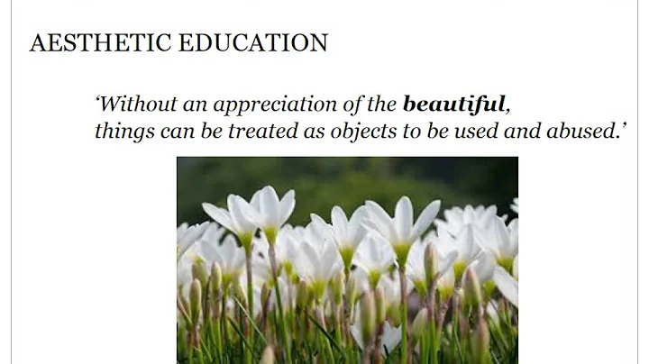 SPIRITUALITY LAUDATO SI SR JUDITH COYLE