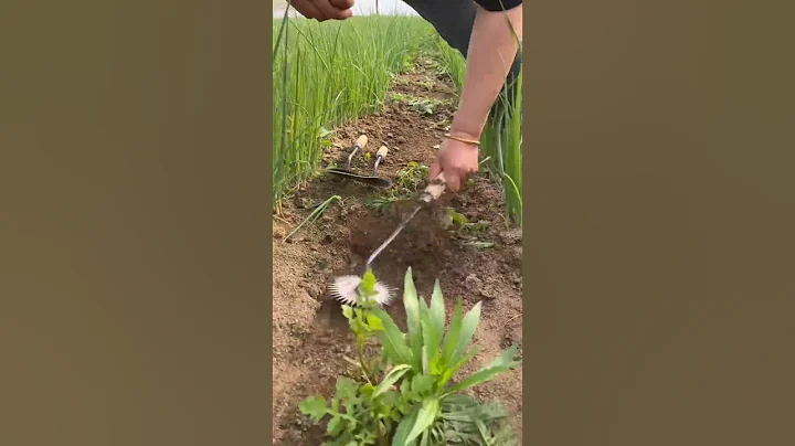 Small New Weeding Tool #satisfying #shot - DayDayNews