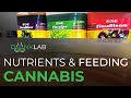 Nutrients  feeding for indoor cannabis plants  dank lab