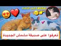 تعرفوا على القطه الجديده صديقة مشمش 😍 شوفوا شكلها قبل الانقاذ 😔💔 / Mohamed Vlog