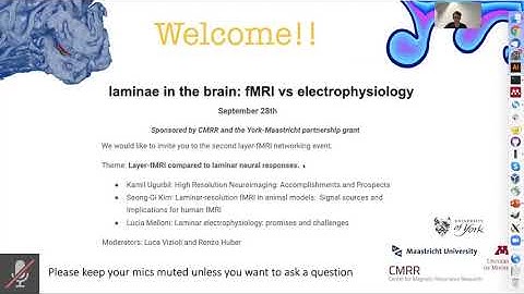 Introduction to the second virtual layer-fMRI event: Luca Vizioli and Renzo Huber
