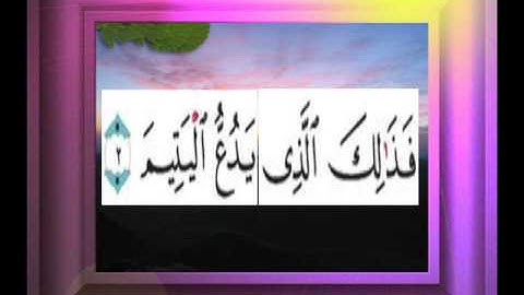 القران الكريم سورة الماعون الاية 2
