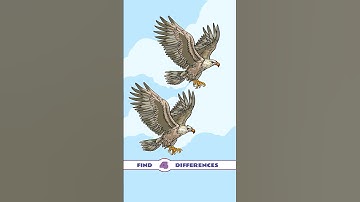 Find four differences,#630 #quiz