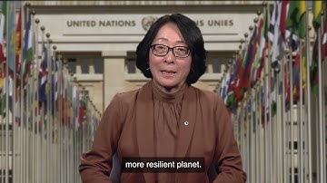 Head of UNDRR
