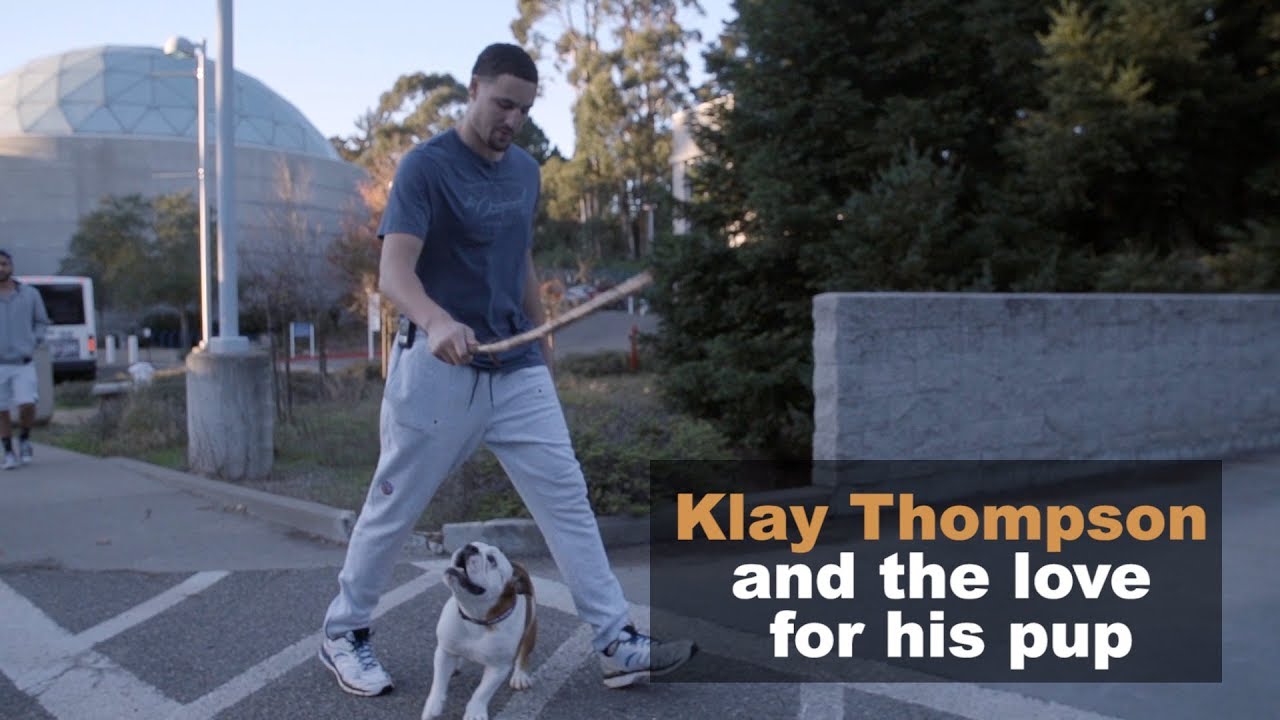 From as Obvious as His Dog Rocco To as Bizarre as His Socks, Here Are 10  Essentials Klay Thompson Cant Live Without