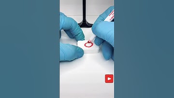 Name the country flag …wrong answers only #shorts