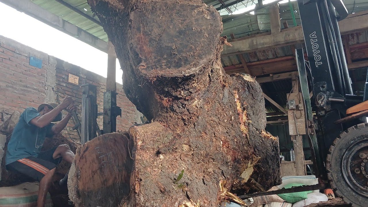 HUNDREDS OF YEARS OLD GIANT WOODEN BRANCHES!! The Wood Cutting Process ...