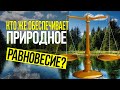 Поразительная гармония в природе!