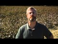 How the Cotton Gin Changed America
