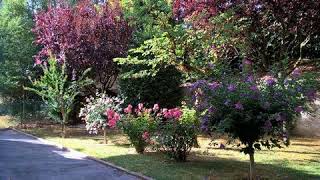 4BED | 1BATH | € 127000 | Apartment | Rimini, Italy | MapFlagged