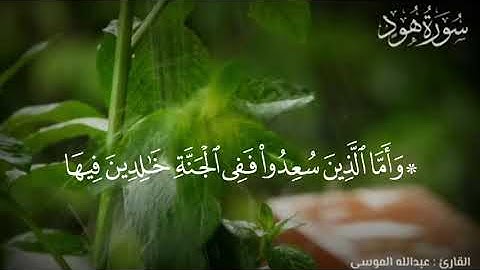 #عبدالله_الموسى || تلاوة رائعة 🍁 ﴿ وَأَمَّا الَّذِينَ سُعِدُوا فَفِي الْجَنَّةِ خَالِدِينَ فِيهَا ﴾