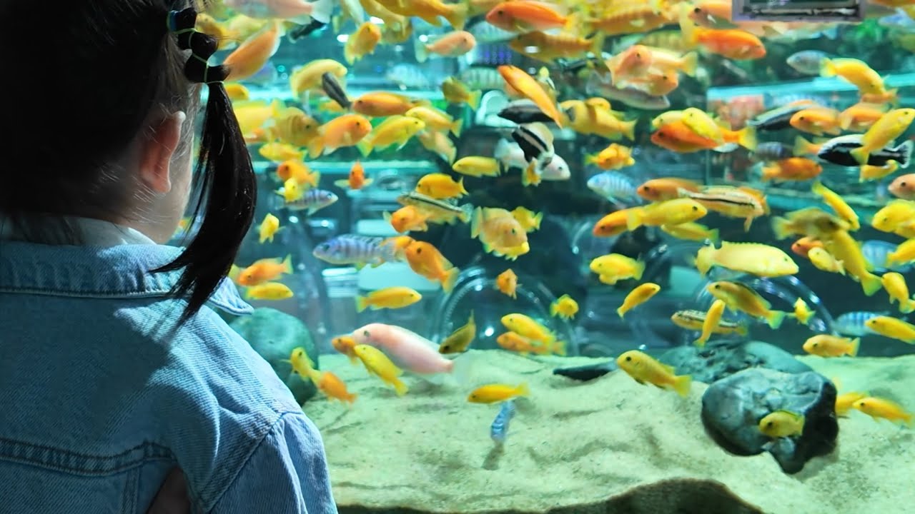 21개월 아기랑 일산 주말 데이트 | 끝없는 멈머 사랑🐶🫰🏻