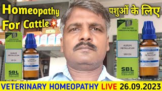 VETERINARY HOMEOPATHYlive! पशुओं के लिए! Homeopathy for Cattle! Arum Metallicum Homeopathic Medicine screenshot 3