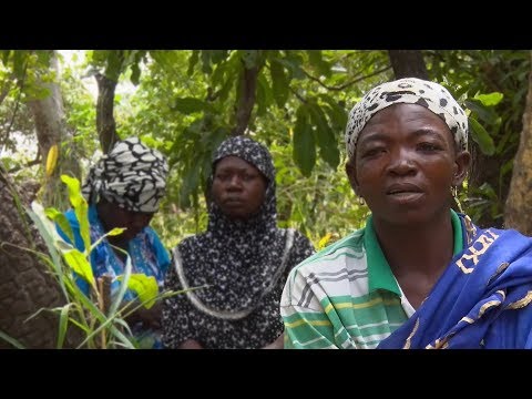 Gana: comunidades transformam ecossistemas em prol das pessoas