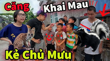 Căng ! Thắng Tồ Chủ Mưu Bắt Cầy Hương Nướng Ăn Bị Hậu Cáo Và My Tóm Gọn