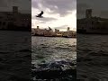Abra Deira Dubaiрџ рџ Є 25 04 2025 Abra Deira Dubaiрџ рџ Є 25 04 2025