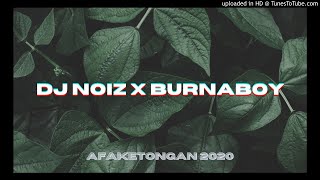 DJ NOIZ - Naughty By Nature (Burna Boy Remix) 2020