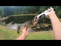 Fishing for Largemouth Bass and Bowfin