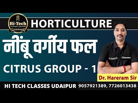 CITRUS | FRUITS | नींबू वर्गीय फल | CITRUS FRUIT | CITRUS FRUITS LIST |