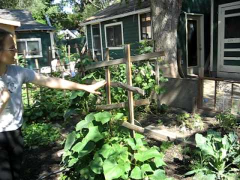 Ashley And Kirk's Vegetable Garden on the Colorado Front Range Part I