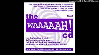 Download Lagu FAT TULIPS - JAMES MP3