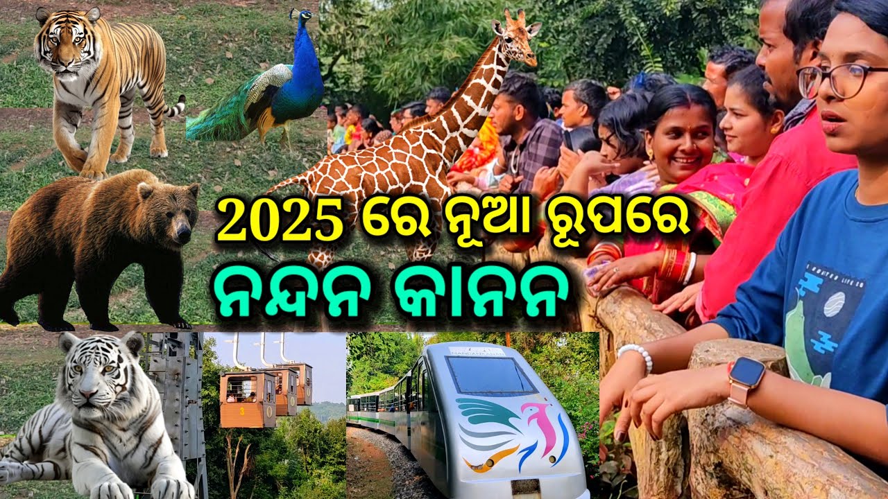ନୂଆ ବର୍ଷରେ ନୂଆ ରୂପରେ ନନ୍ଦନ କାନନ, nandan kanan zoo, tiger, elephant,  lion, ziraf, timing, fare