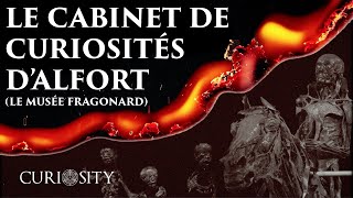 Le Cabinet de Curiosités d'Alfort (Musée Fragonard) - CuriOsity #24