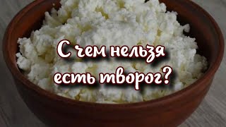 С чем нельзя есть творог и кому противопоказан этот продукт