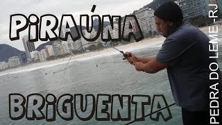 PIRAÚNA NERVOSA! PEDRA DO LEME - RJ
