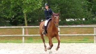 Romilly_140510_yanis.AVI