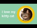 I Love My Kitty Cat (lyric video) - Parry Gripp and Nathan Mazur Mp3 Song