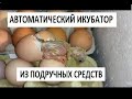 САМЫЙ ПРОСТОЙ АВТОМАТИЧЕСКИЙ ИНКУБАТОР. Вылупление цыпленка