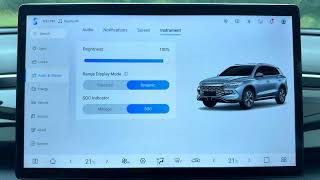 BYD – How to Manage SOC Indicator Settings screenshot 1