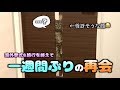 グアムから一週間ぶりに帰ってきたら猫たちに忘れられてしまいました。。。