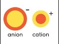 Understanding Ions and Charges