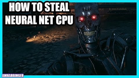 Terminator Resistance How to Steal Neural Net CPU