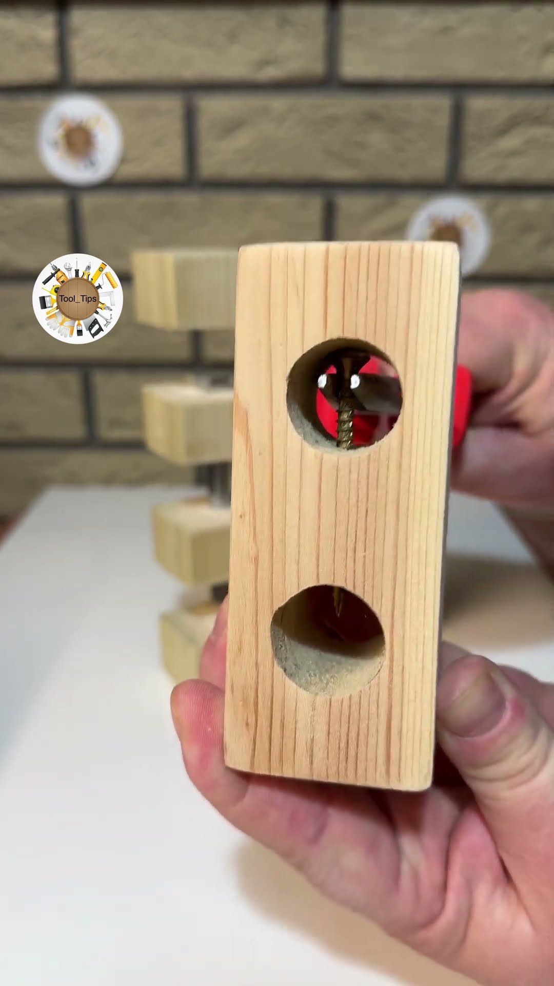 Another Mystery Screw puzzle