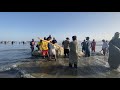 Hawksbay sea | rescue saved a body drowned in the sea | tha sea is to dengerous | abiddaniyal