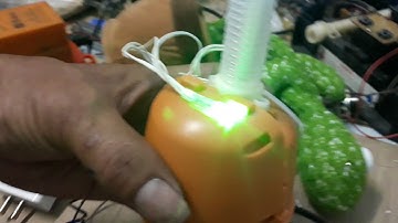 sửa cây xương rồng học nói theo tiếng người đồ  chơi cho bé.