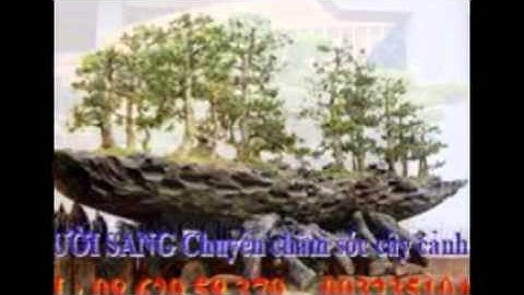 [[[0932351048.]] dịch vụ cắt cỏ, trồng cây xanh sân vườn quận tân phú.tphcm