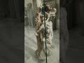 Dionysius Pan A Satyr From Anatolia 170 180 AD Dionysius Pan A Satyr From Anatolia 170 180 AD