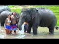 INCREDIBLE ELEPHANT JUNGLE SANCTUARY EXPERIENCE! CHIANG MAI, THAILAND