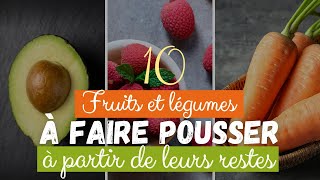 10 fruits et légumes à faire pousser à partir de leurs restes