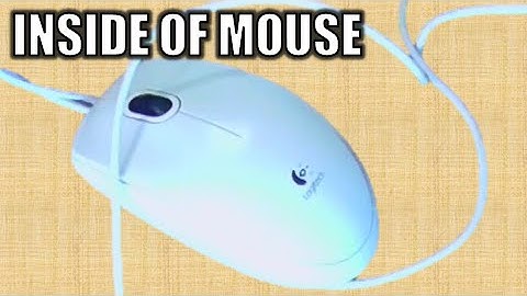 INSIDE OF MOUSE