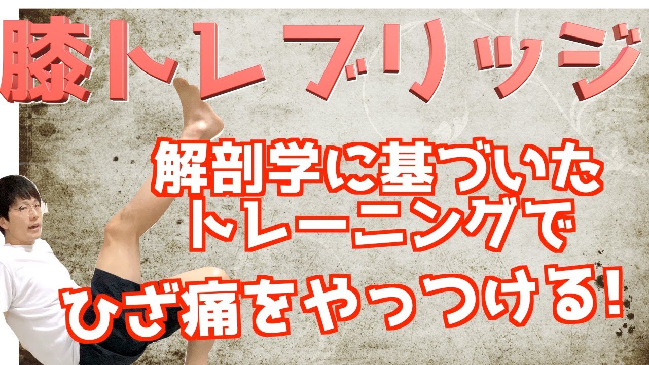 【ひざ痛改善用ブリッジ】膝に優しいブリッジ、あんまり教えたくないけど、解剖学情報も公開します!!