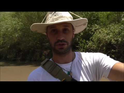 מסנן סוייר - הדגמה כללית